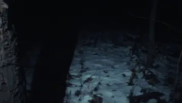 Zasłona do filmu "crow.mp4" #1213902