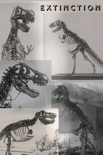 Extinction