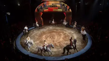 Zasłona do filmu "Les Folies Gruss, 50 ans à Paris" #542515