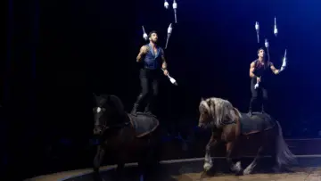 Zasłona do filmu "Les Folies Gruss, 50 ans à Paris" #542518