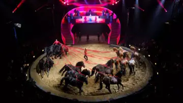 Zasłona do filmu "Les Folies Gruss, 50 ans à Paris" #542520