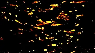 Zasłona do filmu "Cinco ensayos de cámara de un Solsticio" #575886