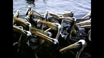 Zasłona do filmu "El Perú es un lugar para morir" #794363