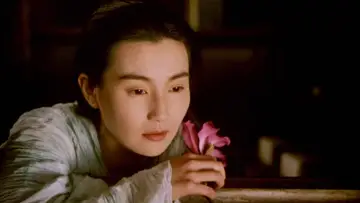 Zasłona do filmu "东邪西毒：终极版" #1183576