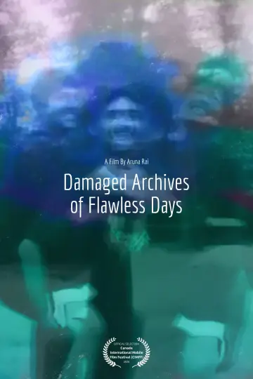 Damaged Archives of Flawless Days