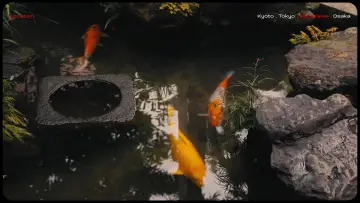 Zasłona do filmu "Lost in Japan" #571775
