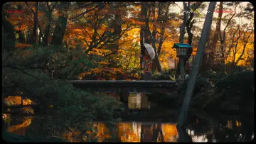 Zasłona do filmu "Lost in Japan" #571786