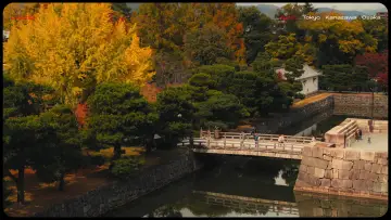 Zasłona do filmu "Lost in Japan" #571846