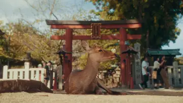 Zasłona do filmu "Streets of Japan" #563174