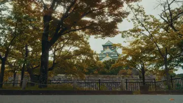 Zasłona do filmu "Streets of Japan" #563197