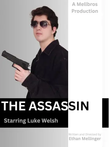 Plakat do filmu "The Assassin" #1187219