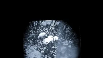 Zasłona do filmu "little snow" #549267