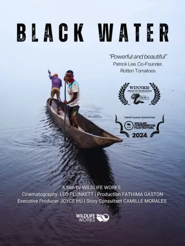 Plakat do filmu "Black Water" #802699