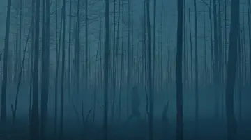 Zasłona do filmu "Chuuraa" #1915697