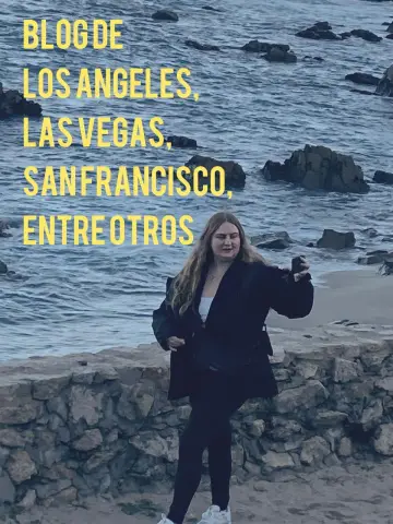 Plakat do filmu "Blog de LOS ANGELES, LAS VEGAS, SAN FRANCISCO, entre otros" #543940