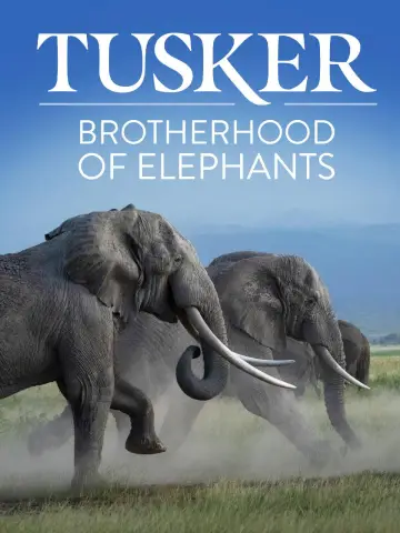 Tusker: Brotherhood of Elephants
