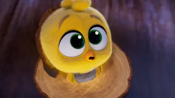 Zasłona do filmu "Galinha Pintadinha: O Filme" #1636290