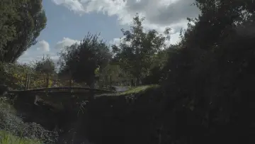 Zasłona do filmu "Corre, Pai" #568055