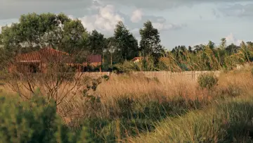 Zasłona do filmu "Im Umkreis des Paradieses" #1780878
