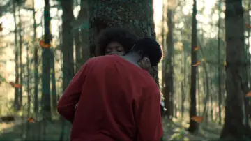 Zasłona do filmu "El jardín que soñamos" #1139418