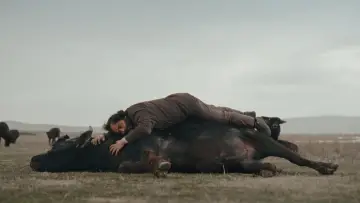 Zasłona do filmu "Günyüzü" #1139357