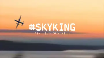 Zasłona do filmu "#SKYKING" #843738