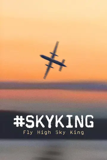 Plakat do filmu "#SKYKING" #843742