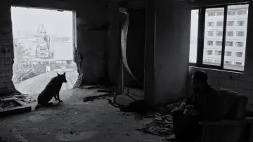 Zasłona do filmu "伤寒杂病论" #539000