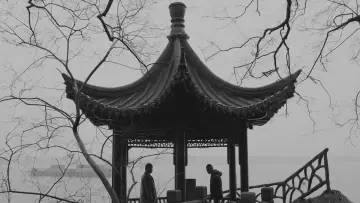 Zasłona do filmu "伤寒杂病论" #539001