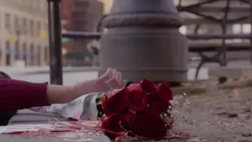 Zasłona do filmu "Flowers" #1887391