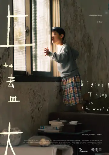 上蓋大 plakat