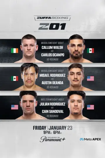 Zuffa Boxing 01 plakat