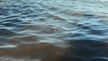 Zasłona do filmu "Lo que trajo el Río" #1154874
