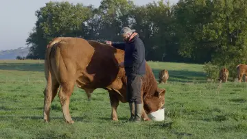 Zasłona do filmu "Rural" #773625