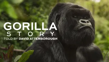 Zasłona do filmu "A Gorilla Story: Told by David Attenborough" #832783