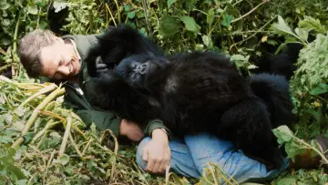 Zasłona do filmu "A Gorilla Story: Told by David Attenborough" #832787