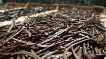 Zasłona do filmu "On va déguster : La vanille, l