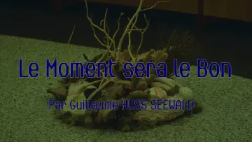 Zasłona do filmu "Le Moment sera le Bon" #1204405