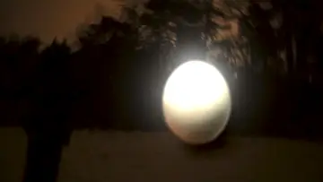 Zasłona do filmu "Ägg" #565112