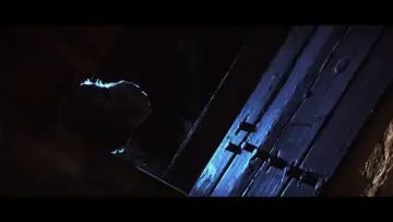 Zasłona do filmu "Tecolote" #822100