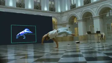 Zasłona do filmu "La beauté d