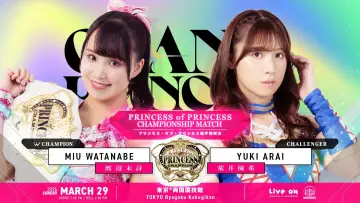 Zasłona do filmu "TJPW GRAND PRINCESS 