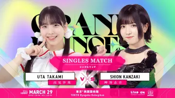 Zasłona do filmu "TJPW GRAND PRINCESS 