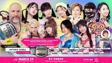 Zasłona do filmu "TJPW GRAND PRINCESS 