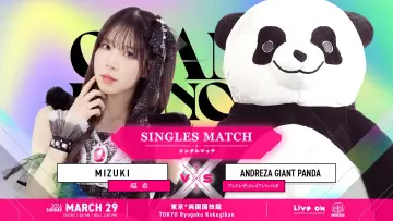 Zasłona do filmu "TJPW GRAND PRINCESS 