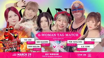 Zasłona do filmu "TJPW GRAND PRINCESS 