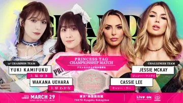 Zasłona do filmu "TJPW GRAND PRINCESS 