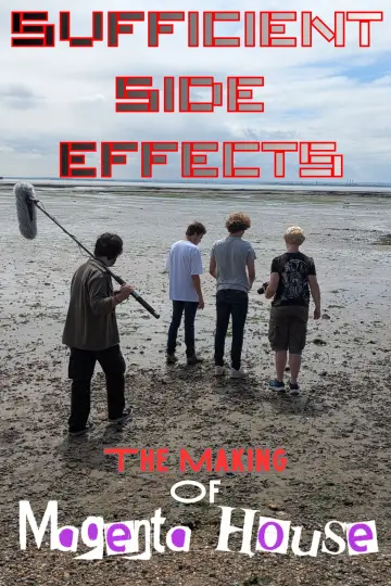 SUFFICIENT SIDE EFFECTS The Making Of Magenta House
