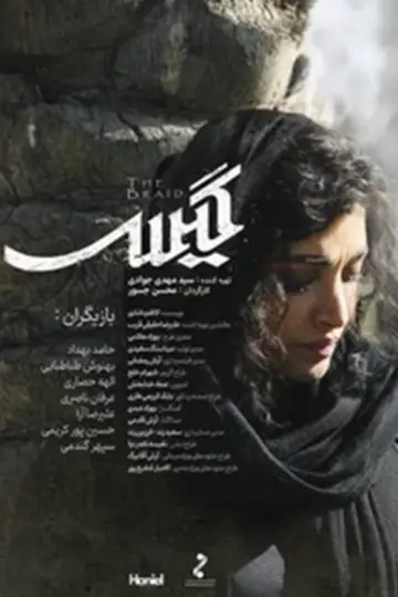 گیس