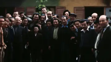 Zasłona do filmu "Les survivants, l